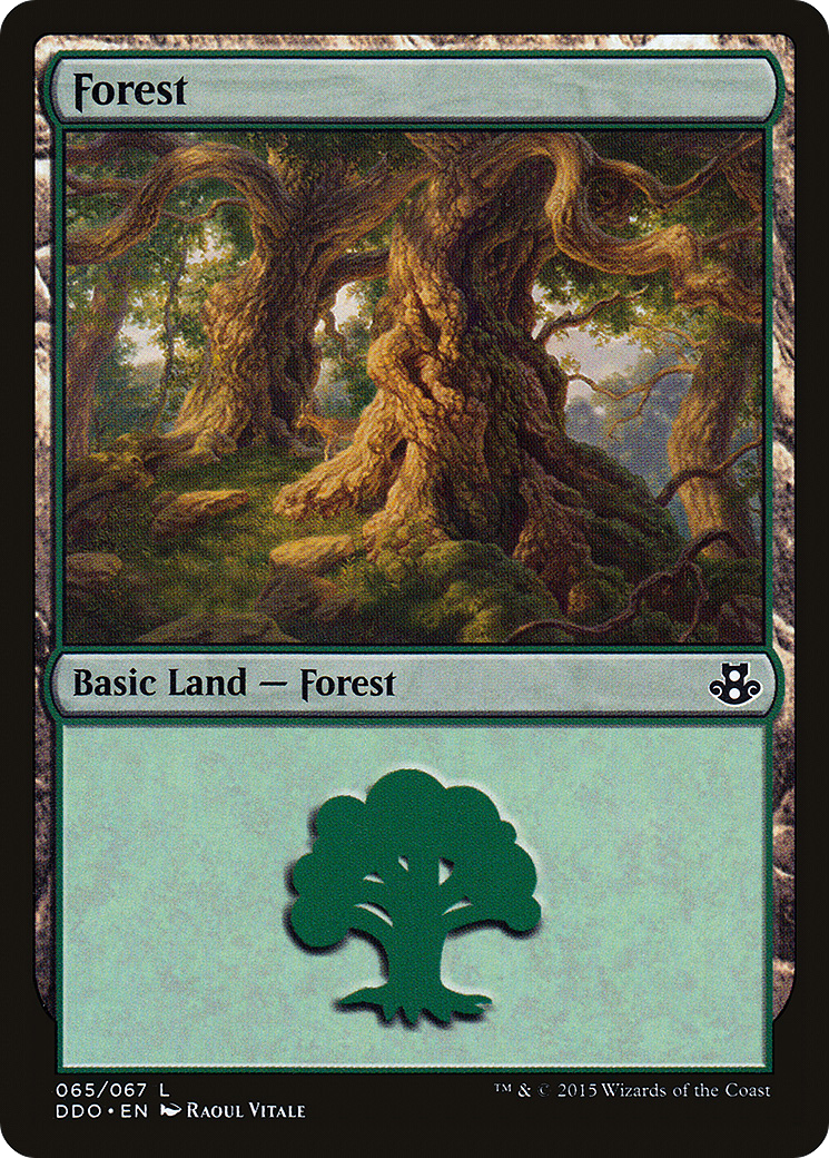 Image of Forest (065) (DDO-065) - Duel Decks: Elspeth vs. Kiora