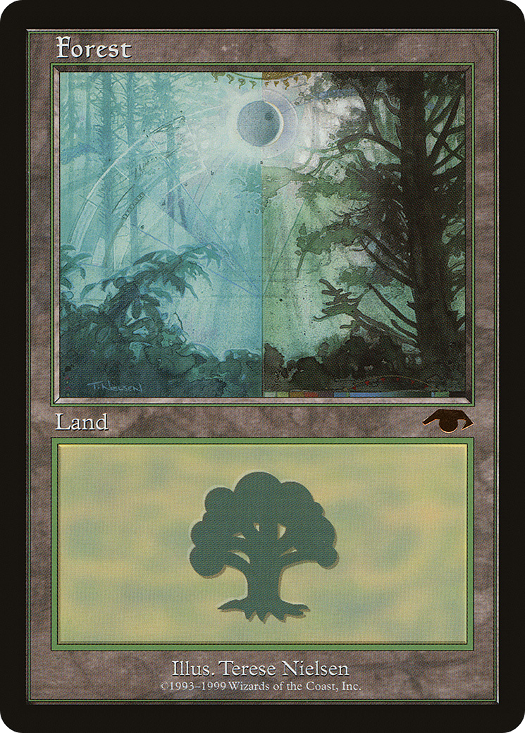 Image of Forest - Guru (GUR-001) - Guru