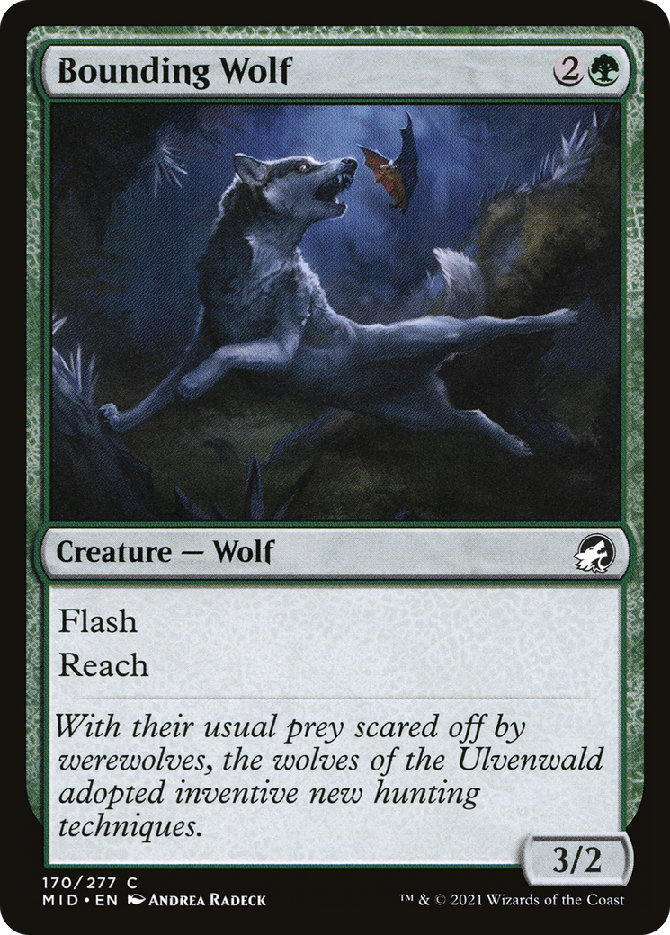 Image of Bounding Wolf (MID-170) - Innistrad: Midnight Hunt Foil