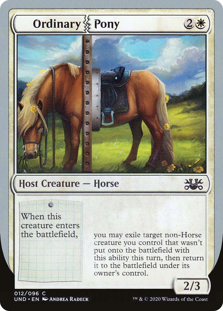 Image of Ordinary Pony (UND-012) - Unsanctioned