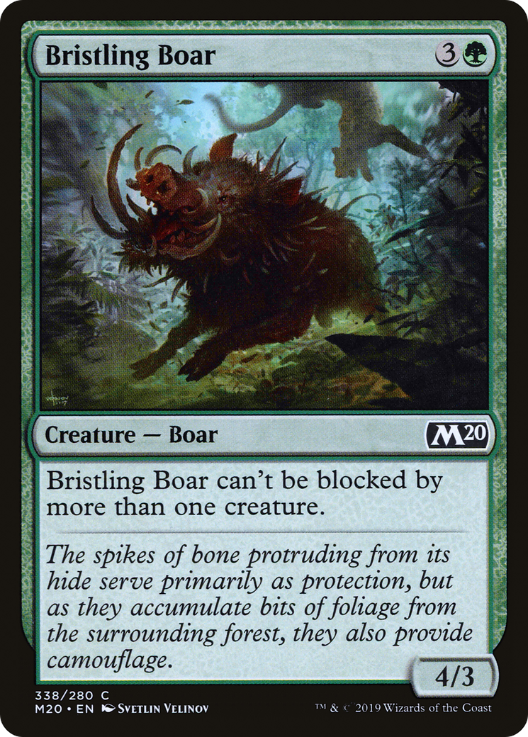 Image of Bristling Boar (M20-338) - Core Set 2020