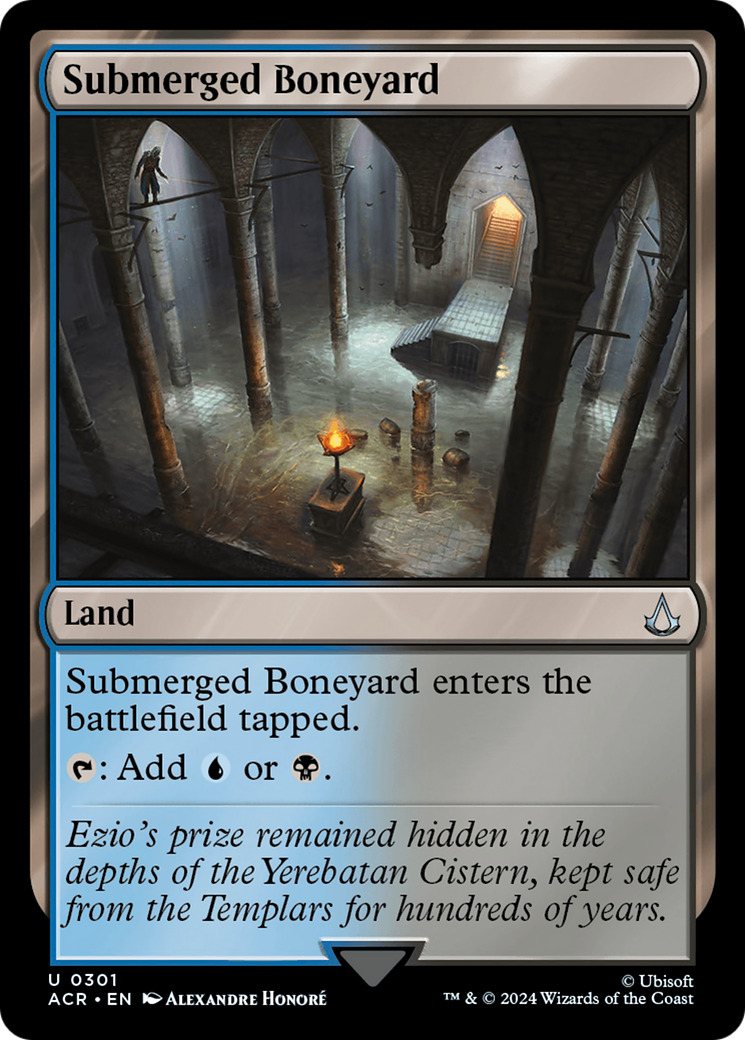 Image of Submerged Boneyard (ACR-301) - Assassin's Creed