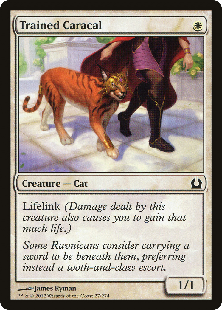 Image of Trained Caracal (RTR-027) - Return to Ravnica Foil