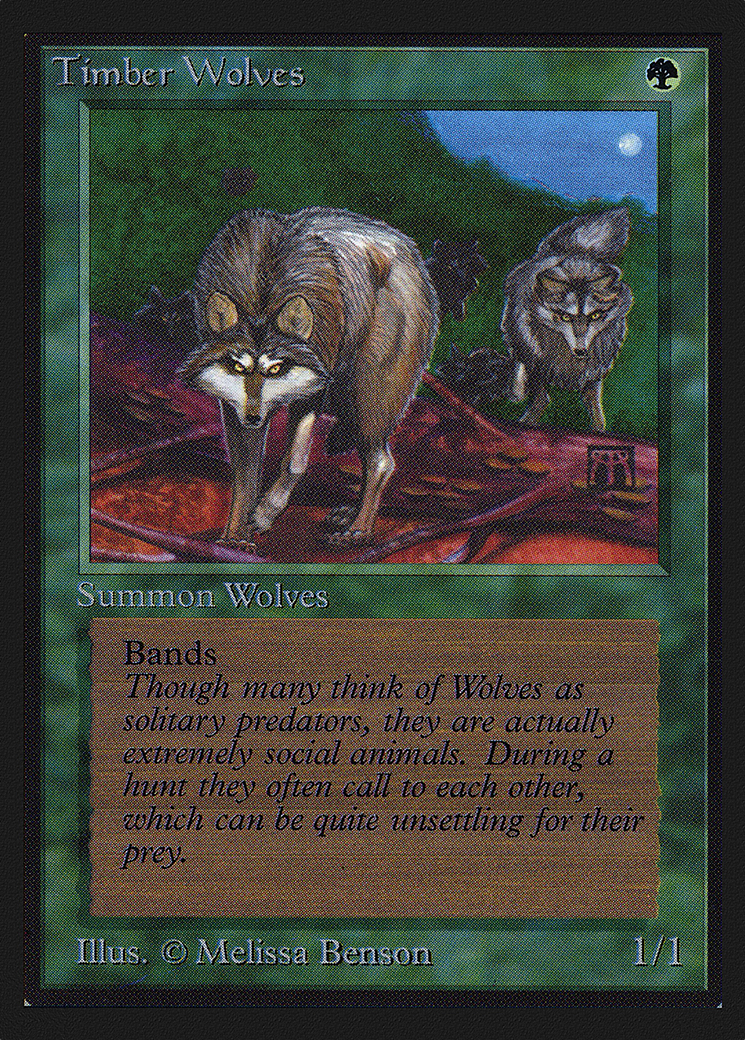 Image of Timber Wolves (IE) (IED-) - Intl. Collectors' Edition