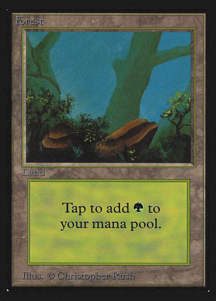 Image of Forest (A) (IE) (IED-280) - Intl. Collectors' Edition