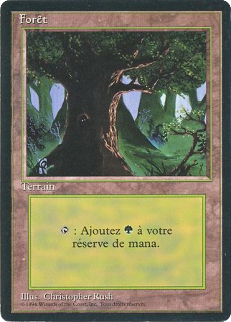 Image of Forest (C) (FBB-285) - Foreign Black Border