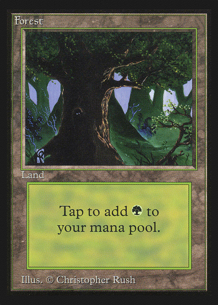 Image of Forest (C) (IE) (IED-282) - Intl. Collectors' Edition