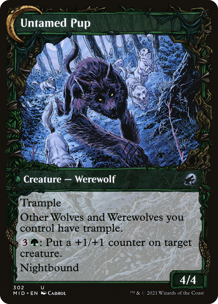 Image of Hound Tamer (Showcase) (MID-302) - Innistrad: Midnight Hunt: (Showcase, Double Faced Transform)