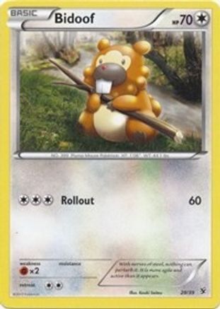 Image of Bidoof 029  Kalos Starter Set - Common