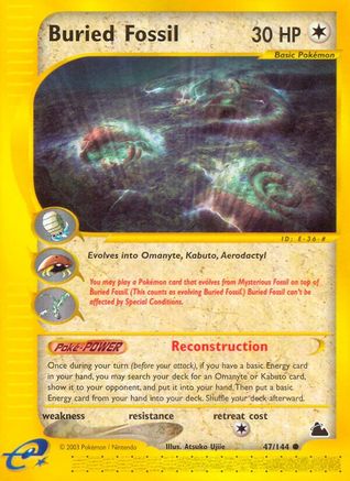 Image of Buried Fossil 047  Skyridge - Common
