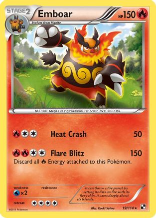 Image of Emboar (19) 019/114  - Holofoil Black and White - Holo Rare
