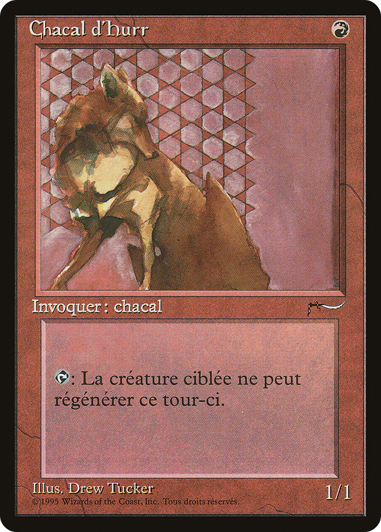 Image of Hurr Jackal (French) - 