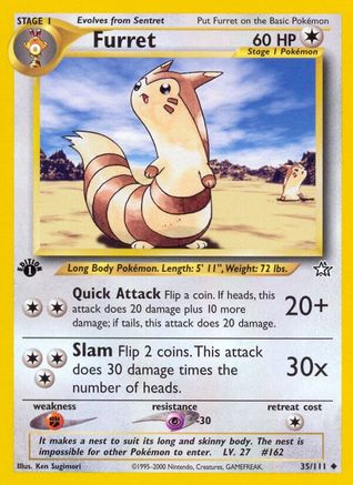 Image of Furret 035/111  - Unlimited Neo Genesis - Uncommon
