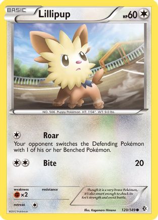 Image of Lillipup 120  Boundaries Crossed - Common