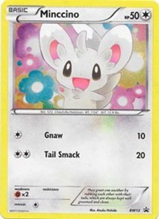 Image of Minccino BW13  - Holofoil Black and White Promos - Promo