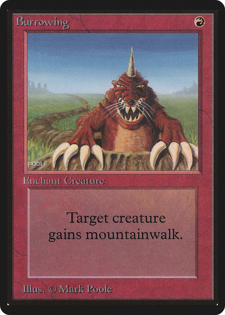 Image of Burrowing (LEB-) - Limited Edition Beta
