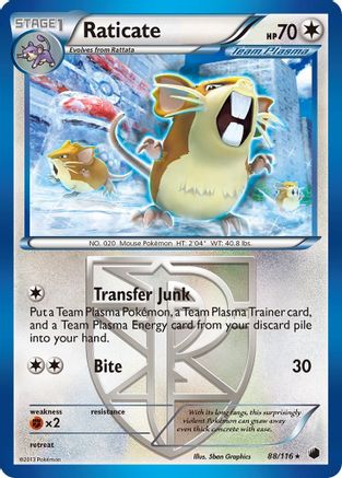 Image of Raticate (Team Plasma) 088/116  Plasma Freeze - Rare