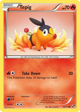 Image of Tepig (16)  - Reverse Holofoil Black and White - Common