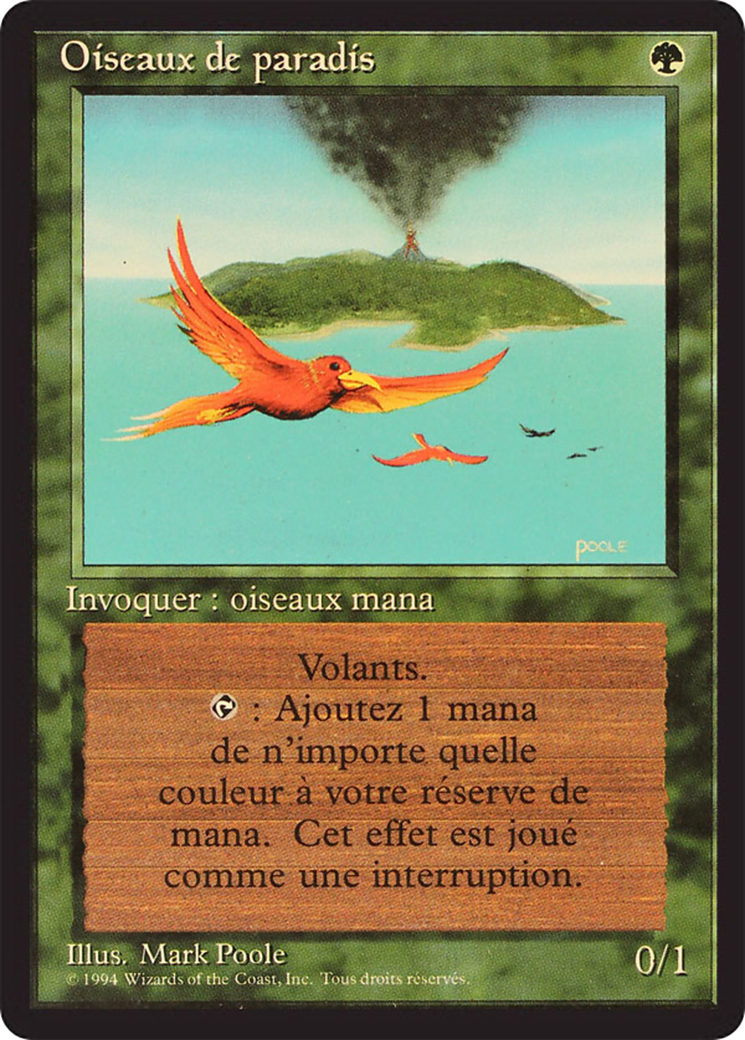 Image of Birds of Paradise (FBB-) - Foreign Black Border