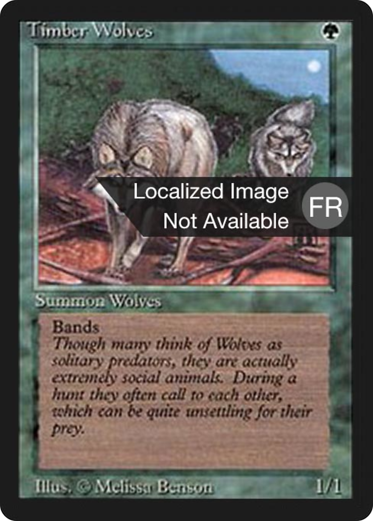 Image of Timber Wolves (FBB-) - Foreign Black Border
