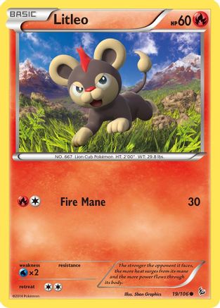 Image of Litleo (19) 019  - Reverse Holofoil XY  Flashfire - Common