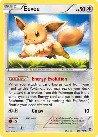 Image of Eevee 080/111  - Reverse Holofoil XY  Furious Fists - Common
