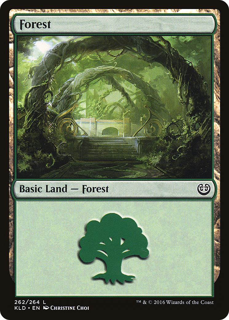 Image of Forest (262) (KLD-262) - Kaladesh