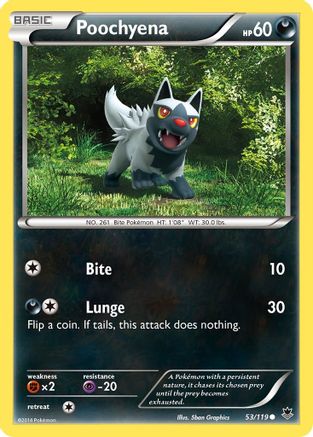 Image of Poochyena 053  - Reverse Holofoil XY  Phantom Forces - Common