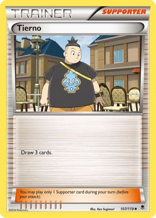 Image of Tierno 107  XY  Phantom Forces - Uncommon