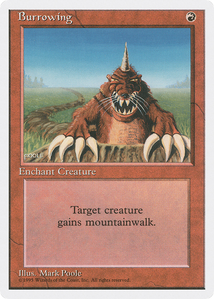 Image of Burrowing (4ED-) - Fourth Edition