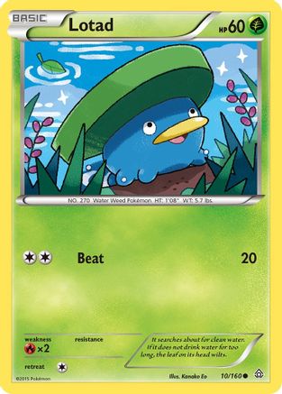 Image of Lotad 010/160  - Reverse Holofoil XY  Primal Clash - Common