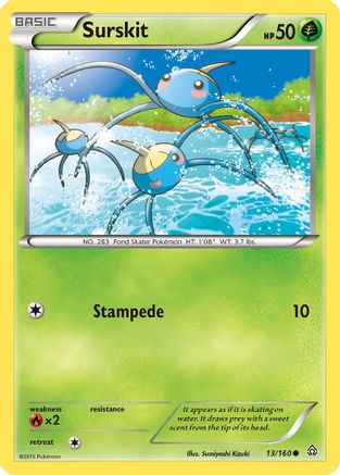 Image of Surskit 013  - Reverse Holofoil XY  Primal Clash - Common