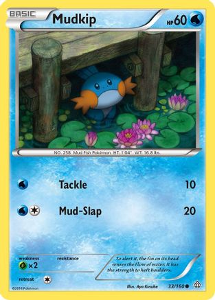 Image of Mudkip 033/160  - Reverse Holofoil XY  Primal Clash - Common