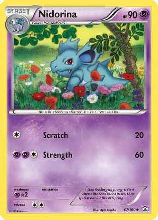 Image of Nidorina 067  - Reverse Holofoil XY  Primal Clash - Uncommon