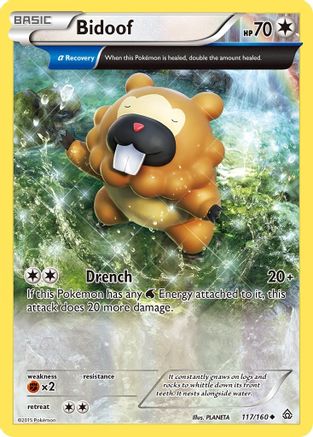 Image of Bidoof (Alpha) 117/160  XY  Primal Clash - Uncommon
