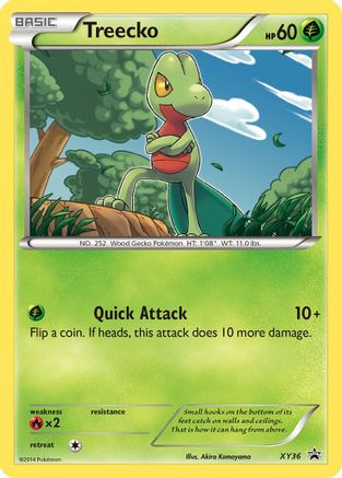 Image of Treecko XY36  - Holofoil XY Promos - Promo