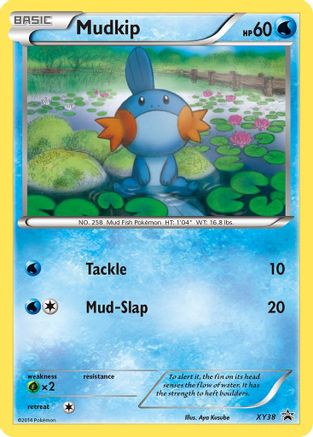Image of Mudkip XY38  - Holofoil XY Promos - Promo