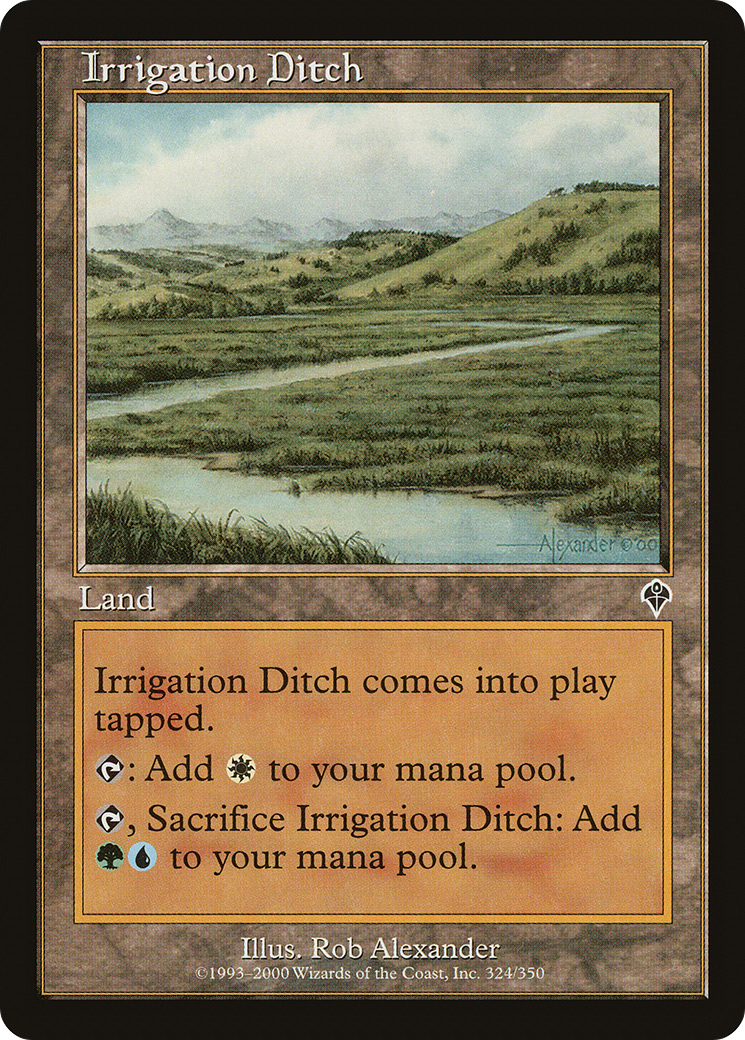 Image of Irrigation Ditch (INV-324) - Invasion