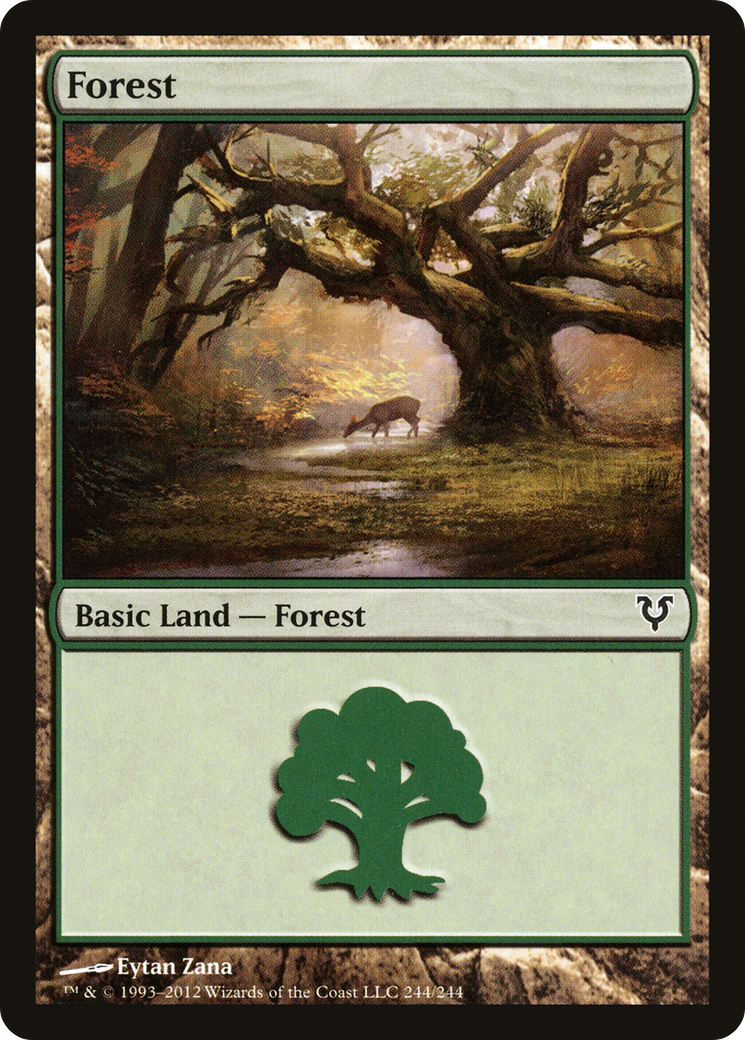 Image of Forest (244) (AVR-244) - Avacyn Restored Foil