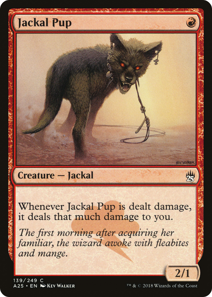 Image of Jackal Pup (A25-139) - Masters 25