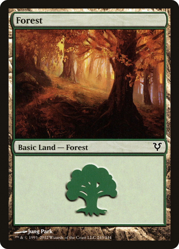 Image of Forest (243) (AVR-243) - Avacyn Restored