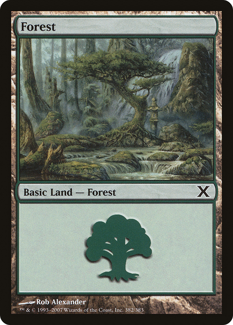 Image of Forest (382) (10E-382) - Tenth Edition