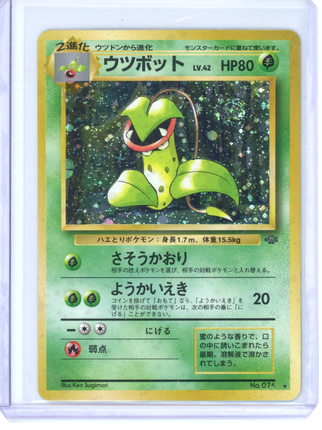 Pokemon Victreebel Japanese Holo #71 LP