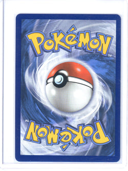 Image of ______'s Pikachu - Celebrations: Classic Collection (CCC) -LP