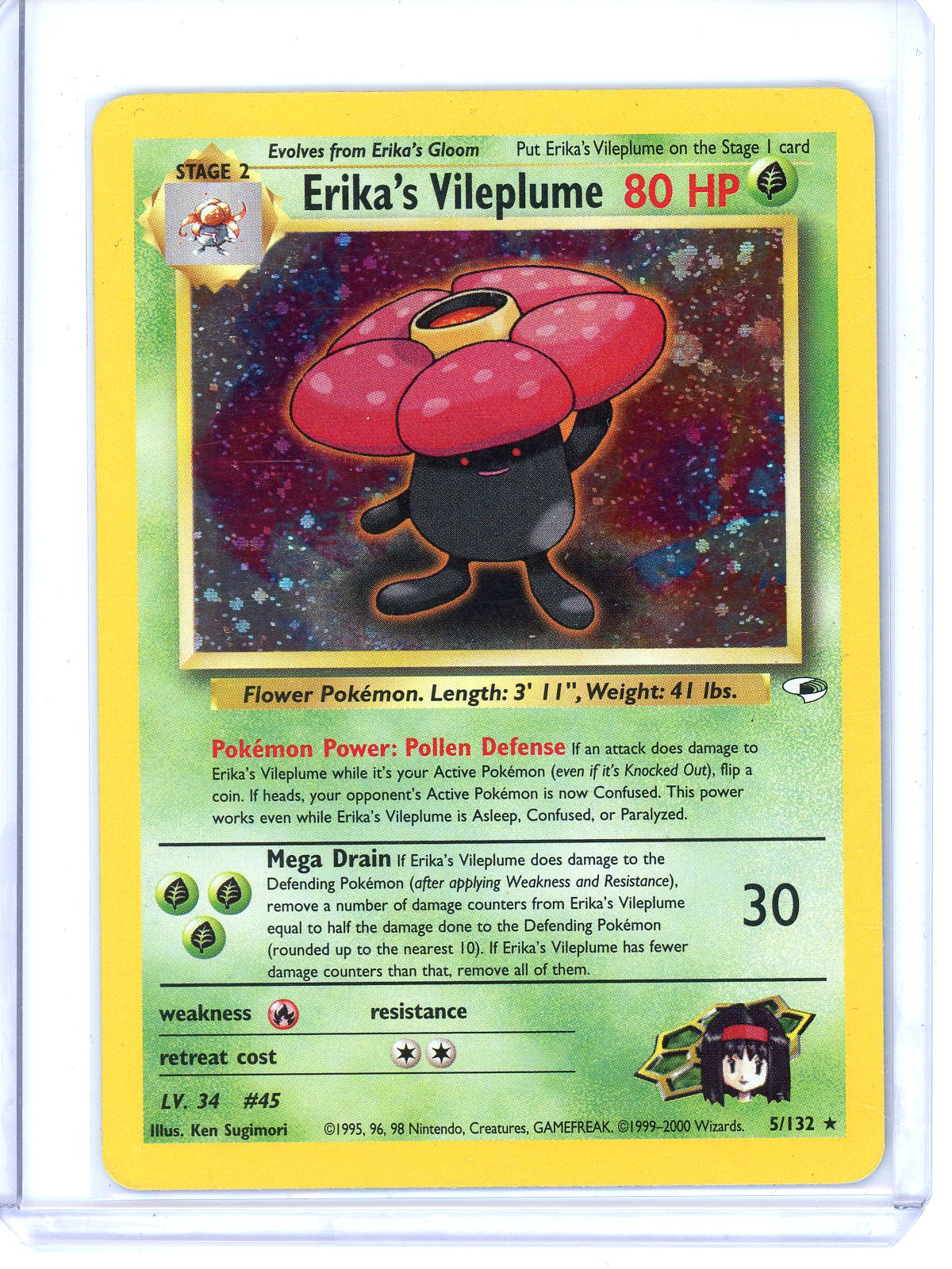 Trove of Collectibles 