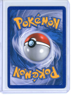 Image of Pokemon Raichu - HeartGold SoulSilver (HS)