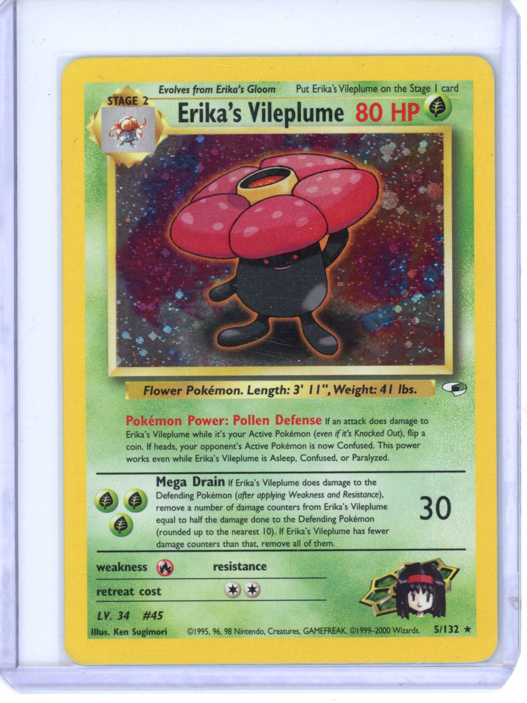 Trove of Collectibles 