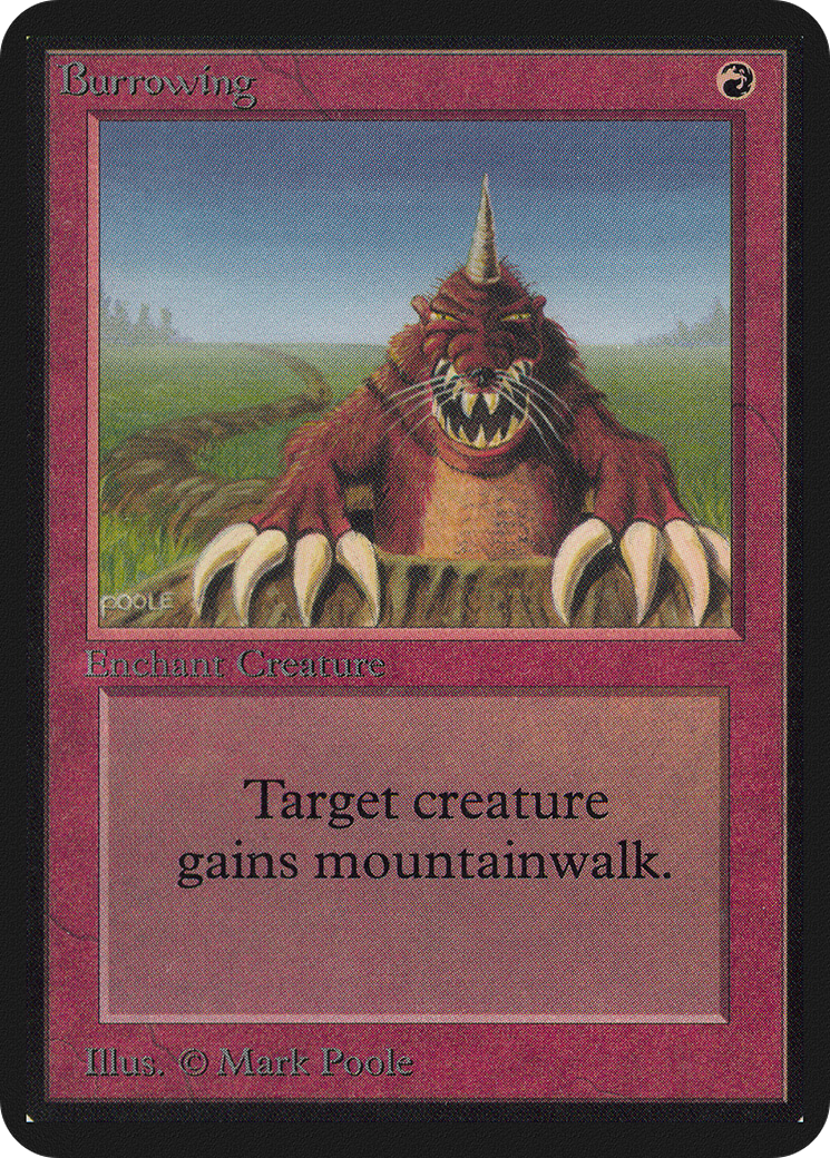 Image of Burrowing (LEA-) - Limited Edition Alpha