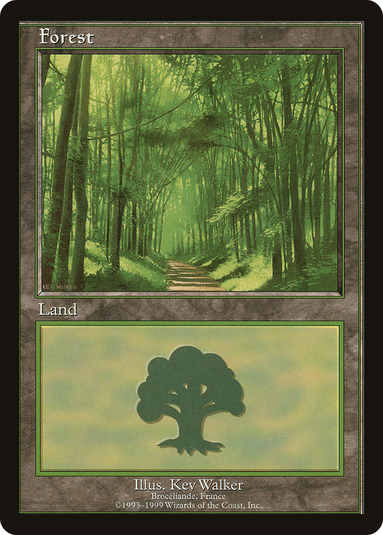 Image of Forest - Broceliande (EURO-006) - European Land Program