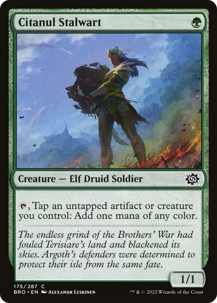 Image of Citanul Stalwart (BRO-175) - The Brothers' War